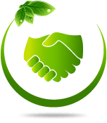icon4