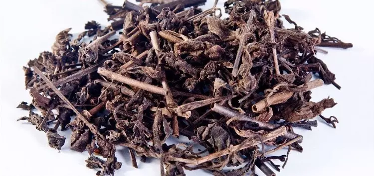 nhân trần khô