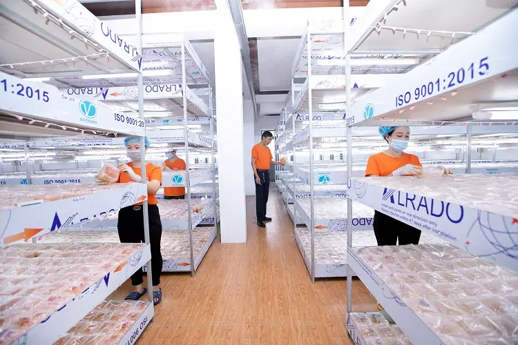 mua đông trùng hạ thảo ở đâu