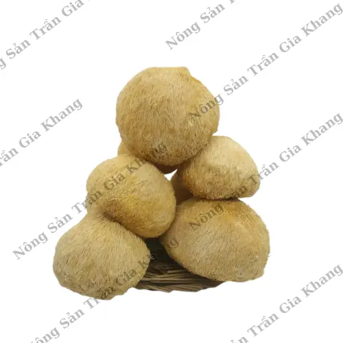 Nấm hầu thủ khô