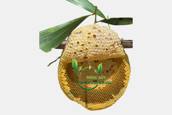 mật ong ruồi rừng