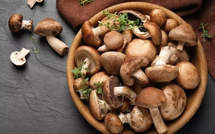 công dụng của nấm hương
