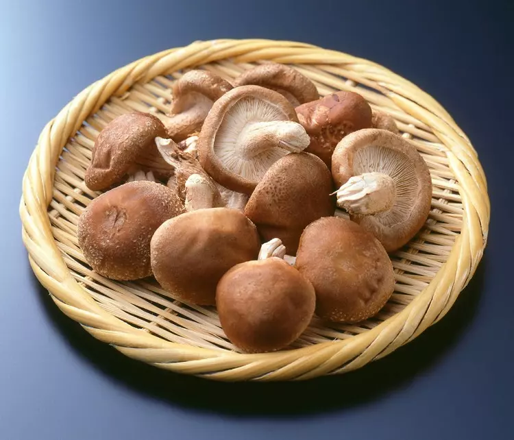 tác dụng của nấm hương