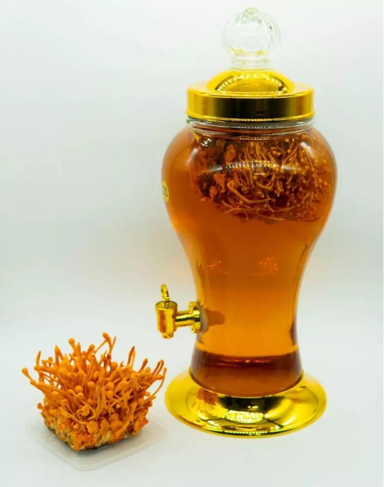 Đông trụng hạ thảo ngâm rượu