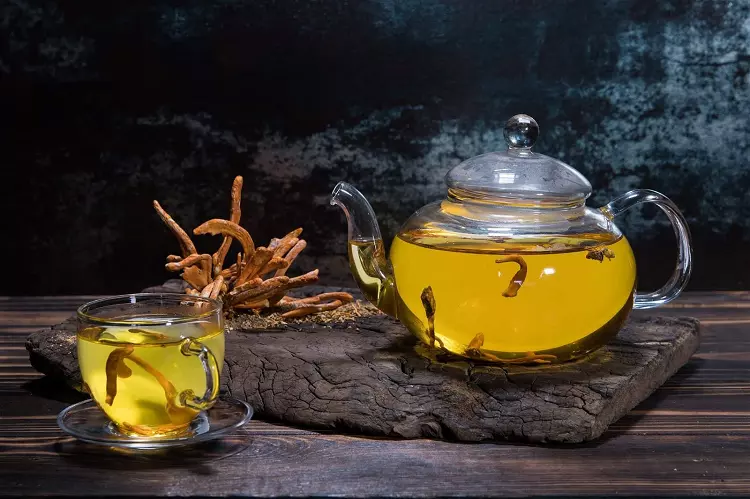 Trà đông trùng hạ thảo