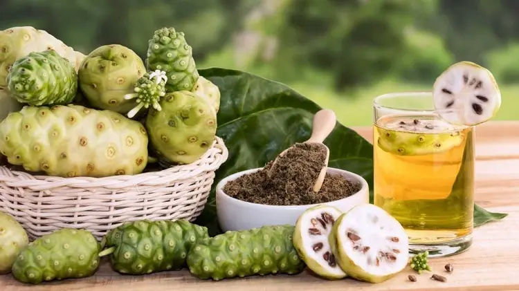Tác dụng của trái nhàu