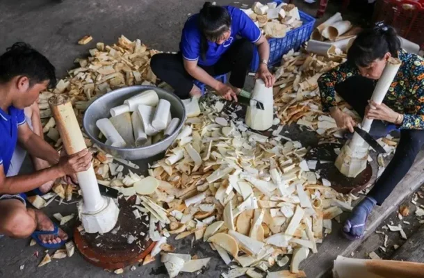 Củ hủ dừa là gì
