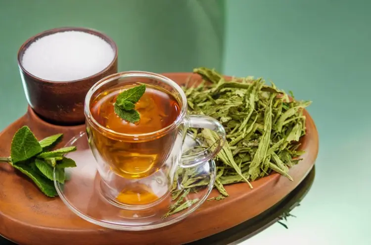cỏ ngọt chữa tiểu đường